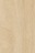 Raw Birchply